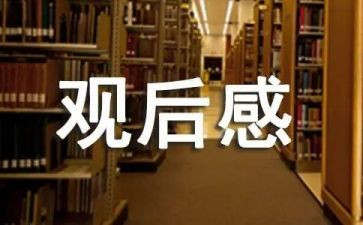 电影风声观后感7篇