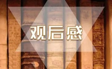 思政课观后感心得体会7篇