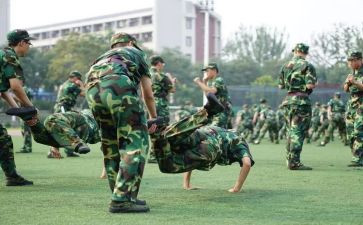 观训心得体会200字优秀8篇