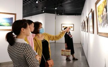 观展心得体会100字最新5篇