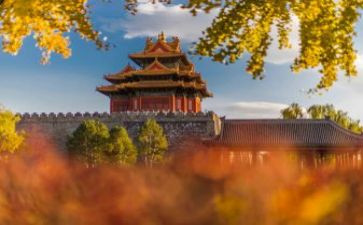 故宫的旅游心得体会5篇