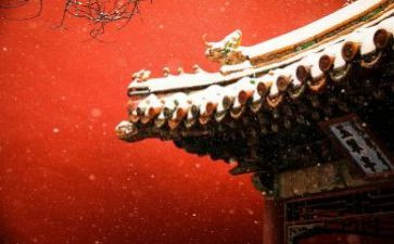 参观故宫心得体会5篇