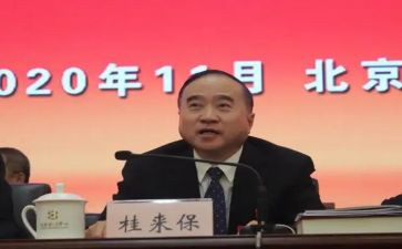 桂来保工作报告优质7篇