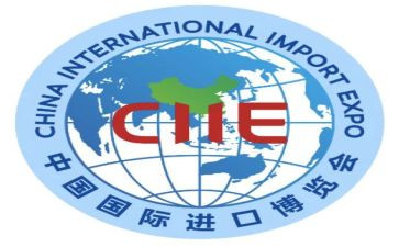 国际志愿者日活动策划5篇