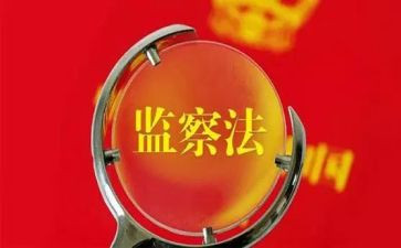 2024监察工作总结优质6篇
