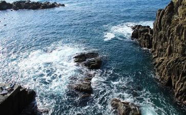 海的感悟作文优质8篇