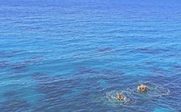 海鸥乔纳森的读后感6篇