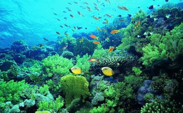 海底三万里读后感6篇