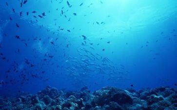 海底两万里读心得体会优秀6篇