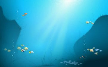 海底两万里,心得体会精选8篇
