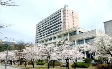 韩国游记作文6篇