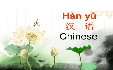 汉语拼音a的教案最新5篇