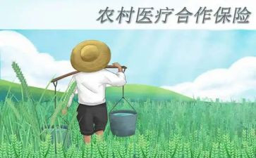 个人合疗工作总结参考5篇