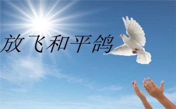 观看为了和平心得体会5篇
