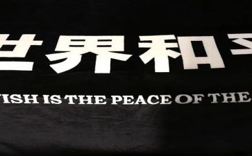 教师《为了和平》心得体会5篇