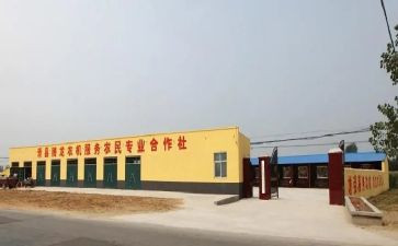 村合作社工作总结5篇