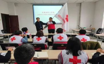 红十字会工作总结8篇