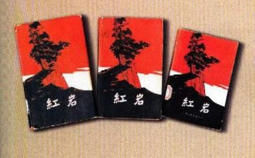 红岩读后感作文700字6篇