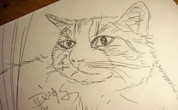 古诗《画》的教案和反思5篇