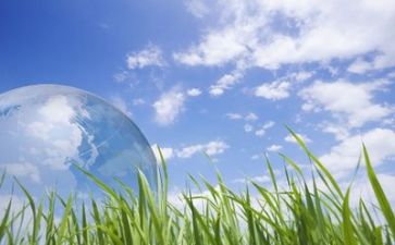 2024年环保工作总结推荐8篇
