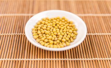 黄豆发芽记作文5篇