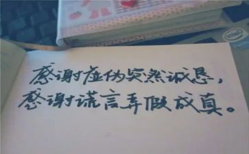 母爱的谎言作文8篇