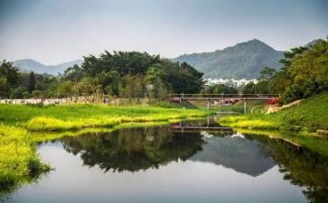 环境大调查报告7篇