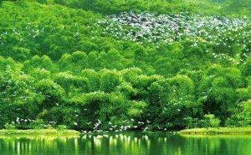 英文环境作文6篇