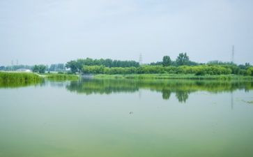 英文环境作文优质7篇