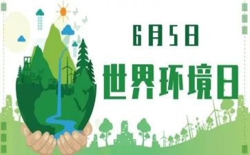 小学环境日宣传活动总结5篇
