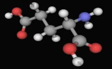 理化生组上学期工作计划5篇