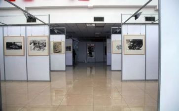 画展领导讲话稿7篇