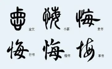 青春无悔,演讲稿最新5篇