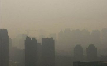 读《灰尘的旅行》读后感7篇