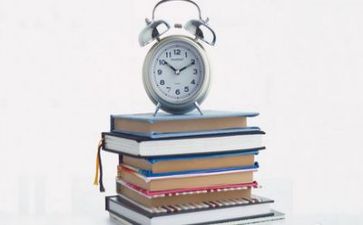 2024会计个人述职报告范文5篇