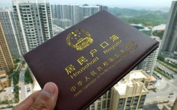 户籍工作的个人总结6篇