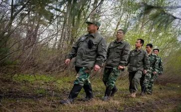 村护林员工作总结推荐5篇