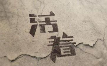 活着的书读后感推荐7篇