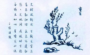 保护生命的作文5篇
