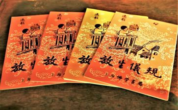 保护生态环境演讲稿6篇