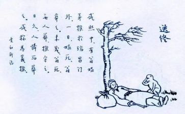 保护生态环境的心得体会8篇