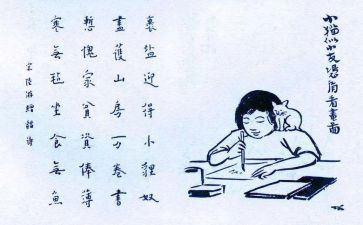 护生的2023年自我鉴定优秀6篇
