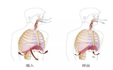 呼吸科演讲稿6篇
