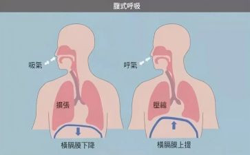 呼吸内科进修自我鉴定6篇
