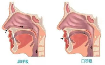 呼吸心内科实习心得体会8篇