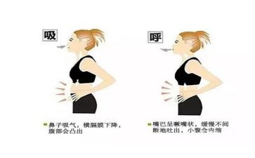 呼吸内科医生述职报告8篇