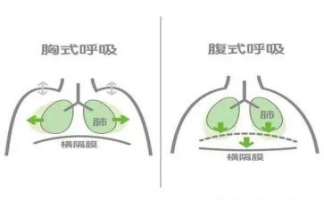 呼吸科出科自我鉴定5篇