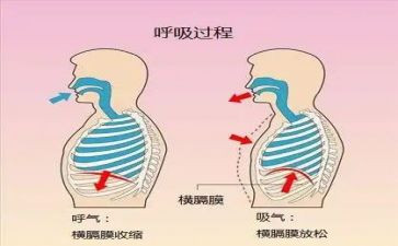 呼吸内科进修自我鉴定优秀8篇