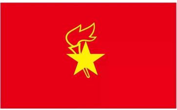 少先队建队上的讲话稿范文6篇