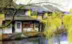 写江南的作文参考7篇